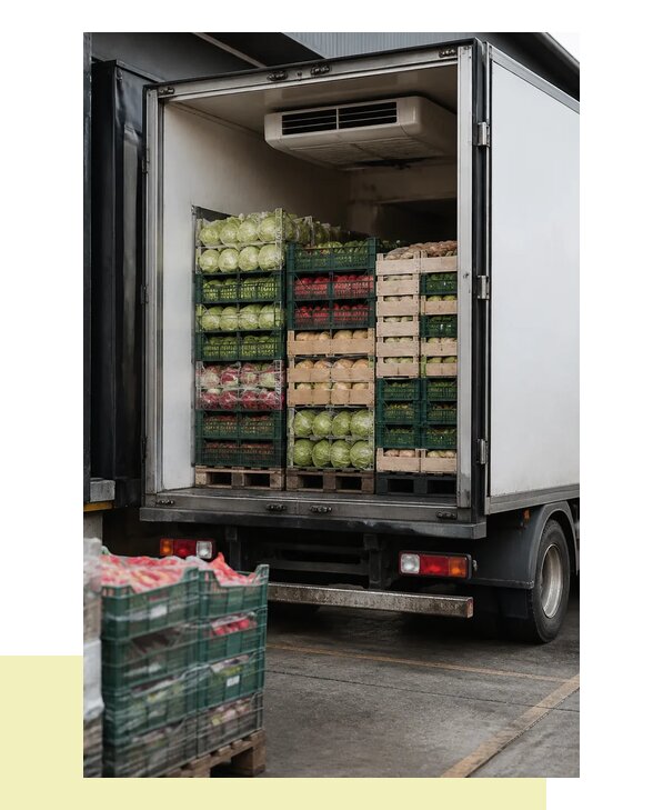Перевозка плодоовощной продукции оптом напрямую в Домодедово