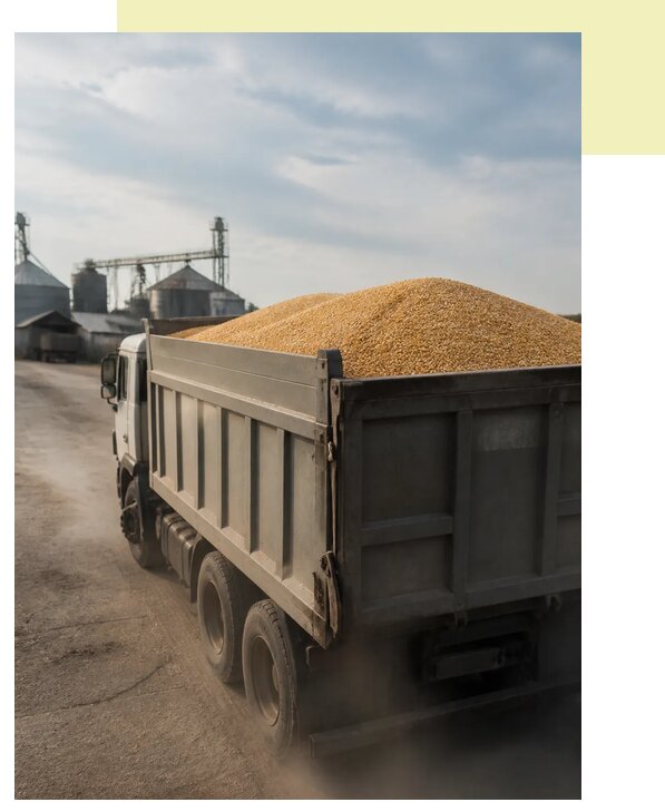 Перевозка сельхозпродукции навалом в Домодедово по цене от 3158 р. | Агросервис-Дмд