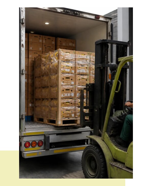 Перевозка бананов в Домодедово с гарантией сохранности груза